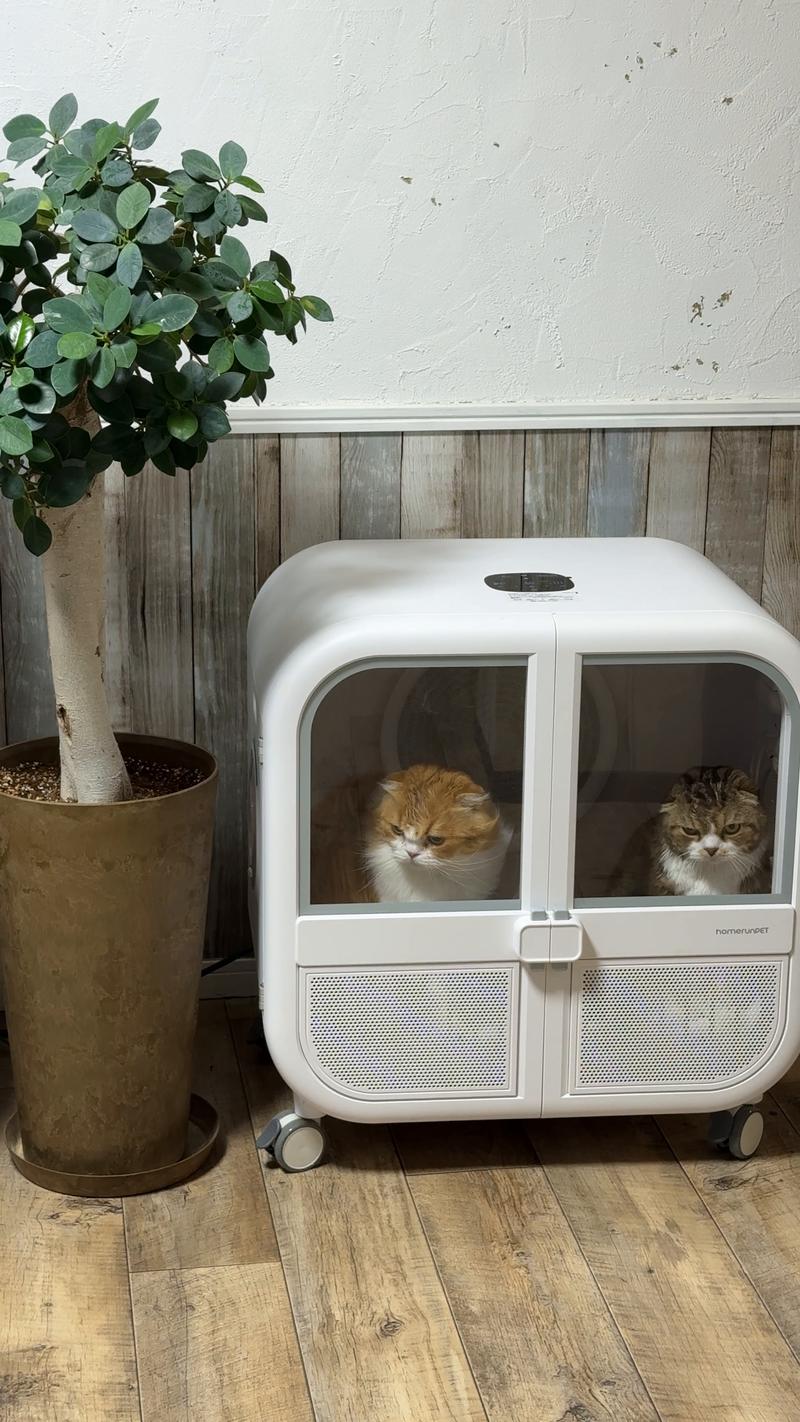 Drybo Home – homerunPET Japan