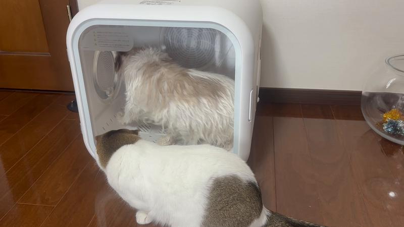 Drybo Home – homerunPET Japan