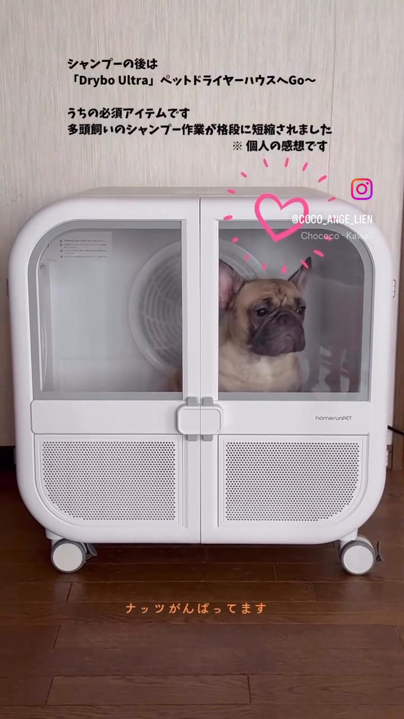 Drybo Home – homerunPET Japan