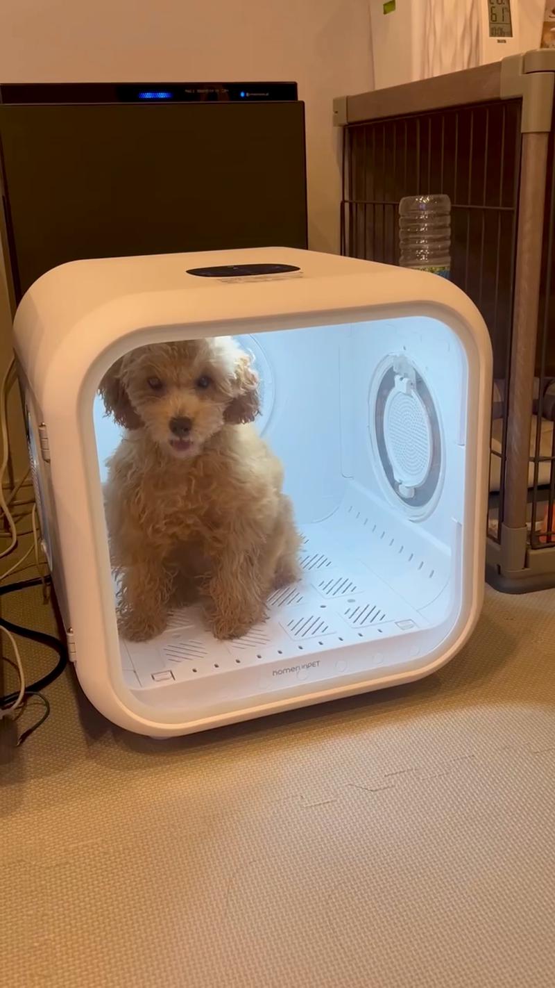 Drybo Home – homerunPET Japan